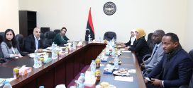 أعضاء من مجلس النواب يجتمعون مع وفد بعثة الأمم المتحدة للدعم في ليبيا بمقر المجلس.