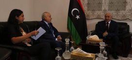 رئيس مجلس النواب يلتقي رئيس بعثة الدعم في ليبيا بمدينة القبة ...
