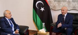 رئيس مجلس النواب يلتقي رئيس بعثة الدعم في ليبيا بمدينة القبة ...